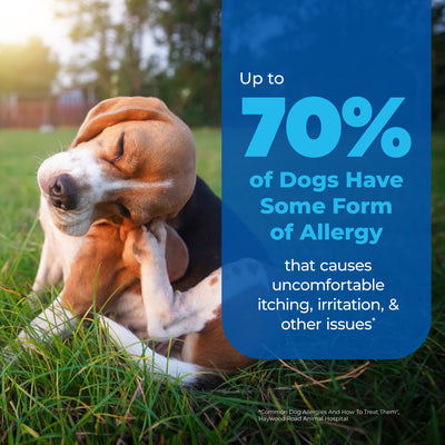 Oticbliss™ Medicated Ear Drops for Dogs and Cats