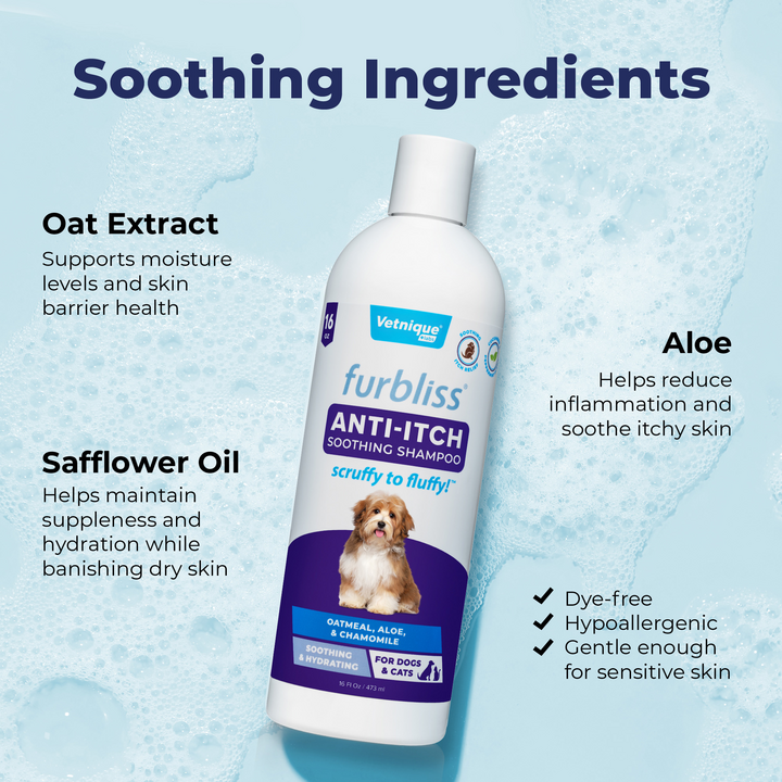 Dog Grooming What Is The Best Dog Shampoo For Dry Itchy Skin Itchy