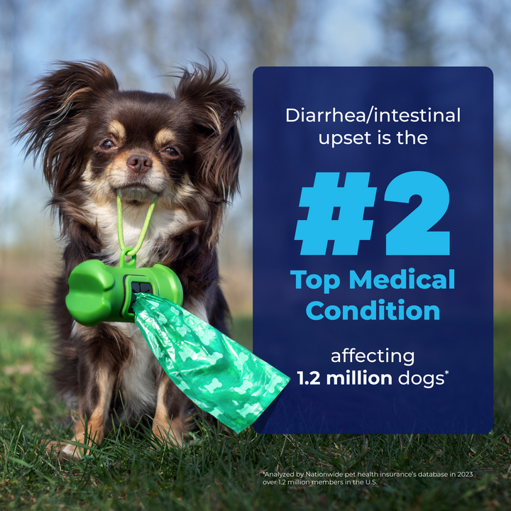 Diarrhea/intestinal upset is #2 top medical condition