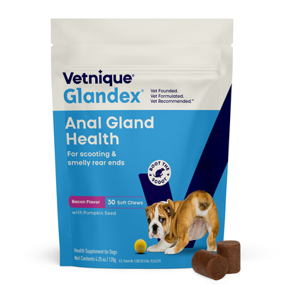 Glandex® Dog Anal Gland Supplement With Pumpkin