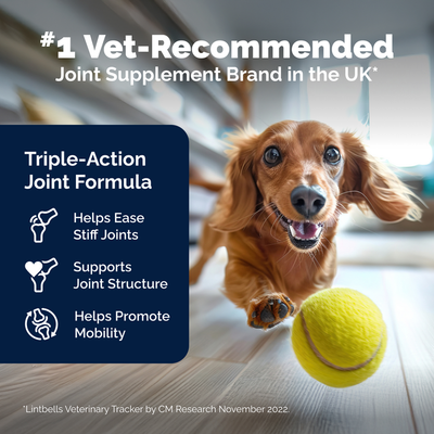 New YuMOVE Advanced Vet Strength Hip & Joint Health Chews