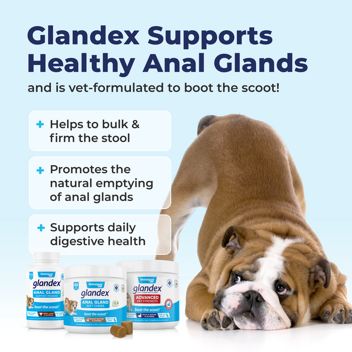 Glandex® Anal Gland Powder Supplement for Dogs & Cats