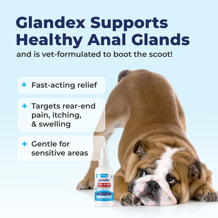 Glandex® Medicated Anal Gland Spray For Dogs & Cats - 4oz