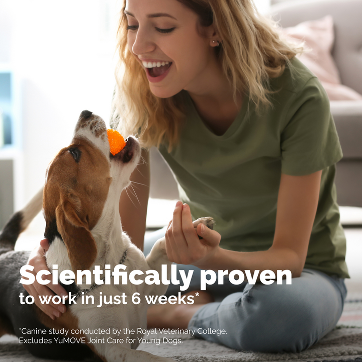 New YuMOVE Advanced Vet Strength Hip & Joint Health Chews