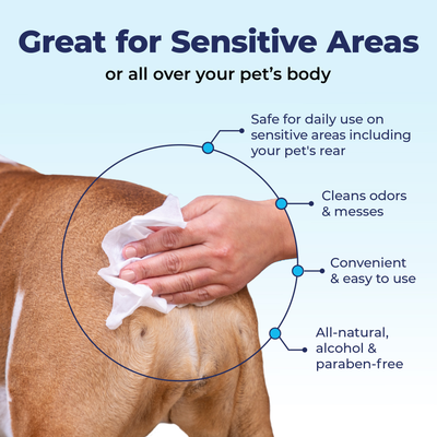 Glandex® Anal Gland Hygienic Pet Wipes - VetPass Free Sample