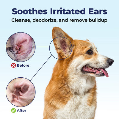 Sootes Irritated Ears