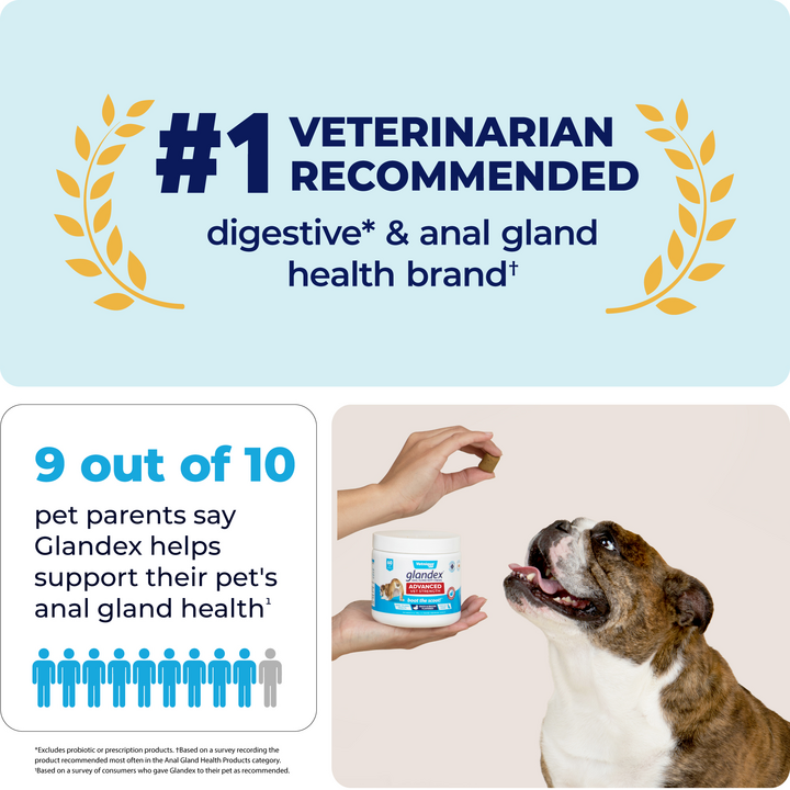 Glandex® Advanced Anal Gland Chews for Dogs