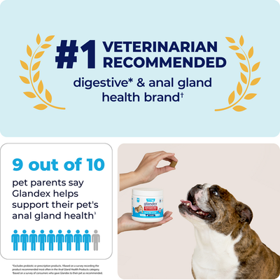 Glandex® Advanced Anal Gland Chews for Dogs