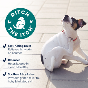 DermaBliss™ Advanced Vet Strength Anti-Itch & Allergy Relief Wipes