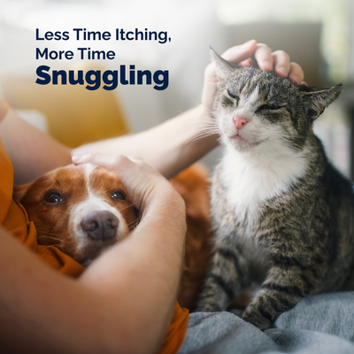 DermaBliss™ Advanced Vet Strength Anti-Itch & Allergy Relief Wipes