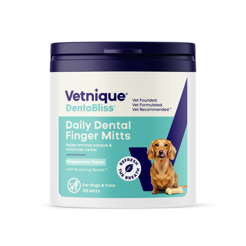 Dentabliss Daily Dental Wipes Finger Mitts 50 Count Jar