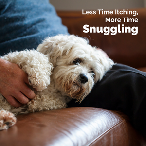 DermaBliss™ Advanced Vet Strength Face Cleansing Wipes