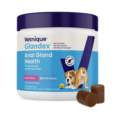 Glandex® Dog Anal Gland Supplement With Pumpkin