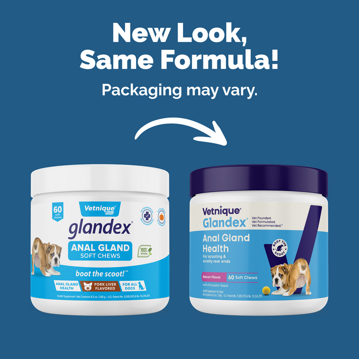 Glandex® Anal Gland Health Supplement With Pumpkin