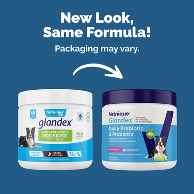 Glandex® Daily Prebiotic & Probiotic Soft Chews & Powder