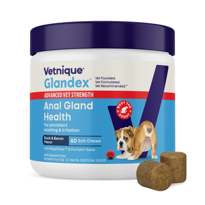 Glandex® Advanced Vet Strength Anal Gland Health Chews for Dogs
