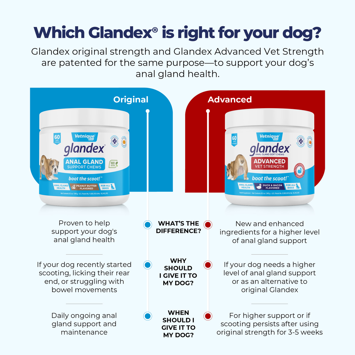 Which Glandex is right for your dog anal gland issues?