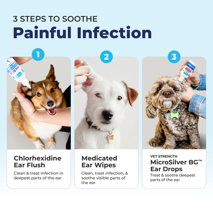 Ear Mite Dog Ear Irritation Oticbliss™ Medicated Ear Wipe For Dogs