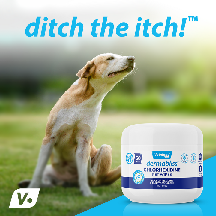 Dermabliss™ Anti-Bacterial & Anti-Fungal Chlorhexidine Wipes - VetPass Free Sample