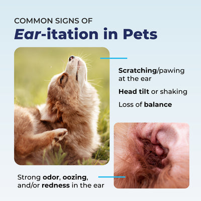 Oticbliss™ Medicated Ear Drops for Dogs and Cats