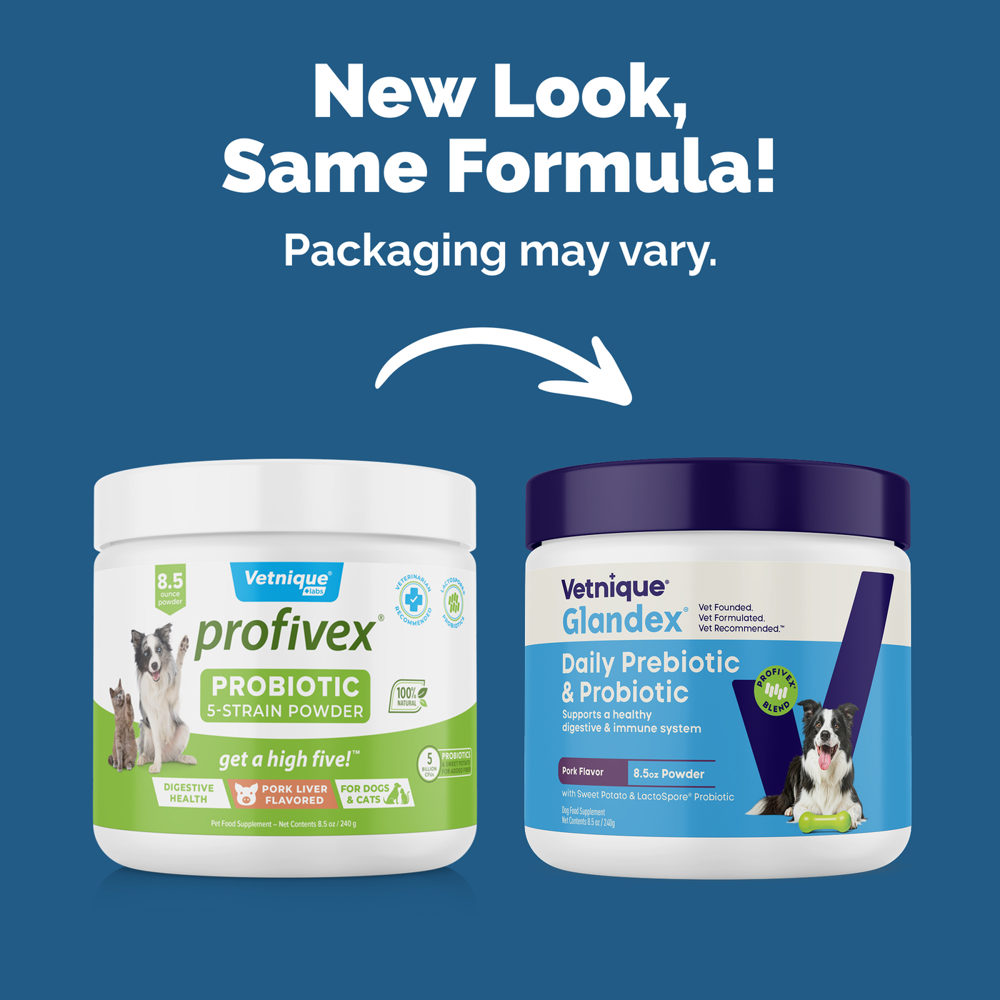 Glandex® Daily Prebiotic & Probiotic Soft Chews & Powder
