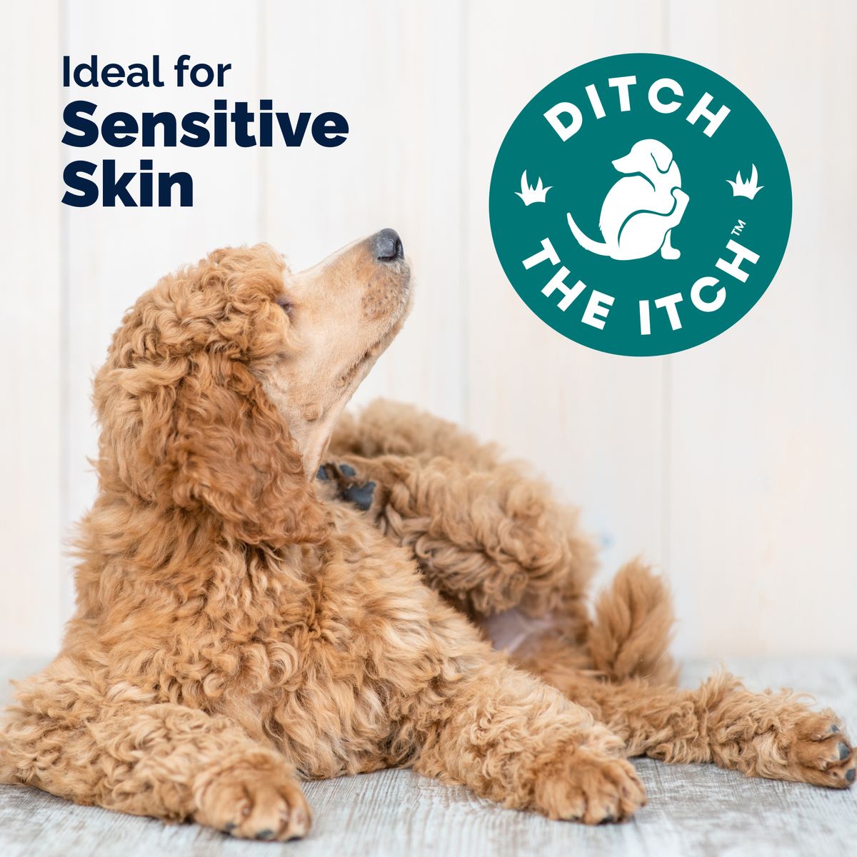 DermaBliss™ Advanced Seasonal Allergy Health Chews for Dog