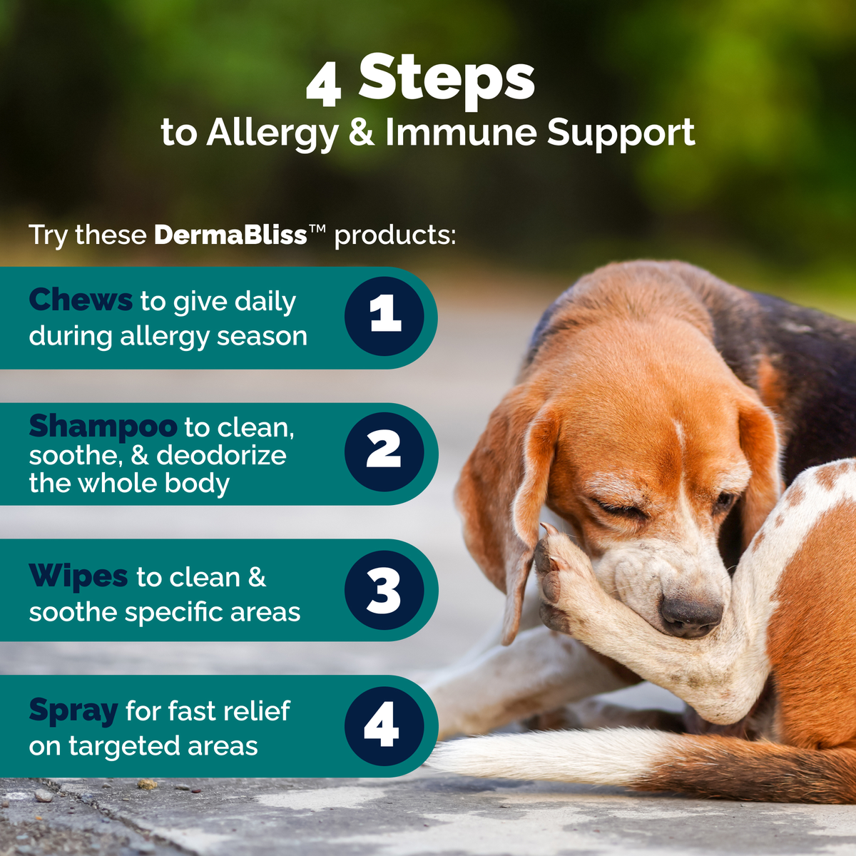 DermaBliss™ Advanced Seasonal Allergy Health Chews for Dog