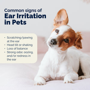 OticBliss™ Advanced Vet Strength Allergy Ear Drops for Dogs and Cats