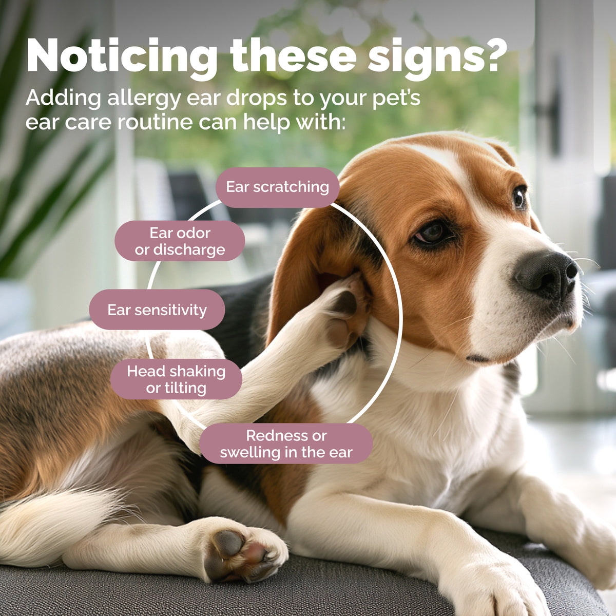 OticBliss™ Advanced Vet Strength Allergy Ear Drops for Dogs and Cats