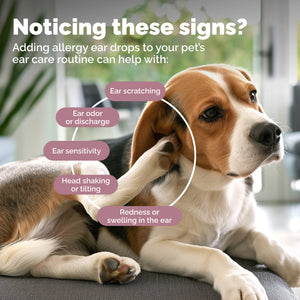 OticBliss™ Advanced Vet Strength Allergy Ear Drops for Dogs and Cats