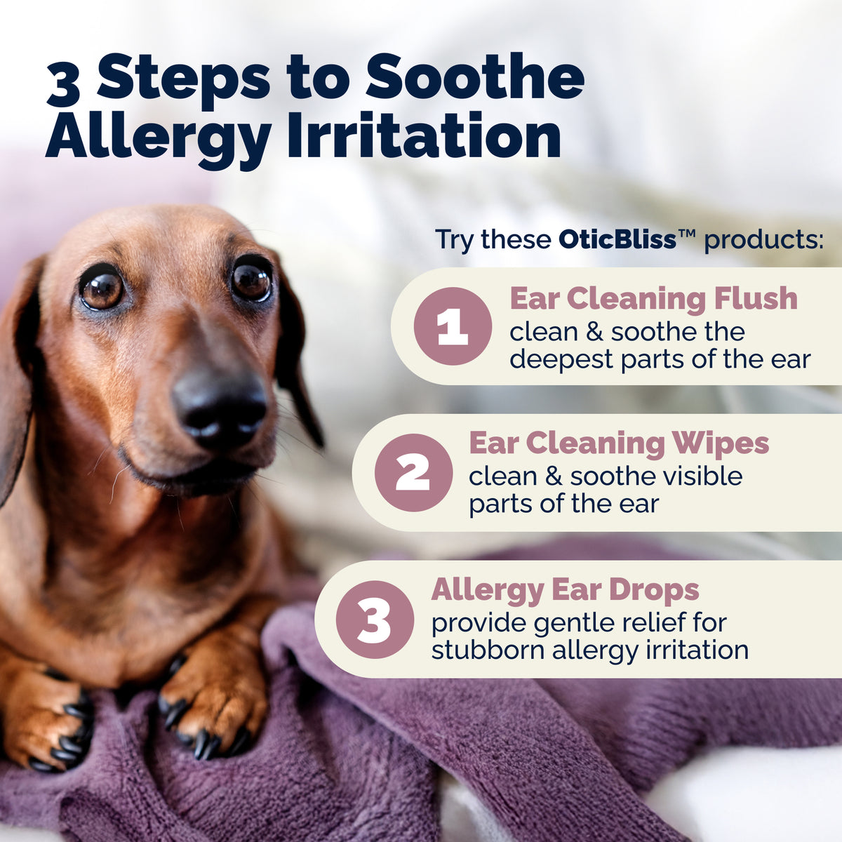 OticBliss Advanced Vet-Strength Pet Ear Drops with MicroSilver BG™