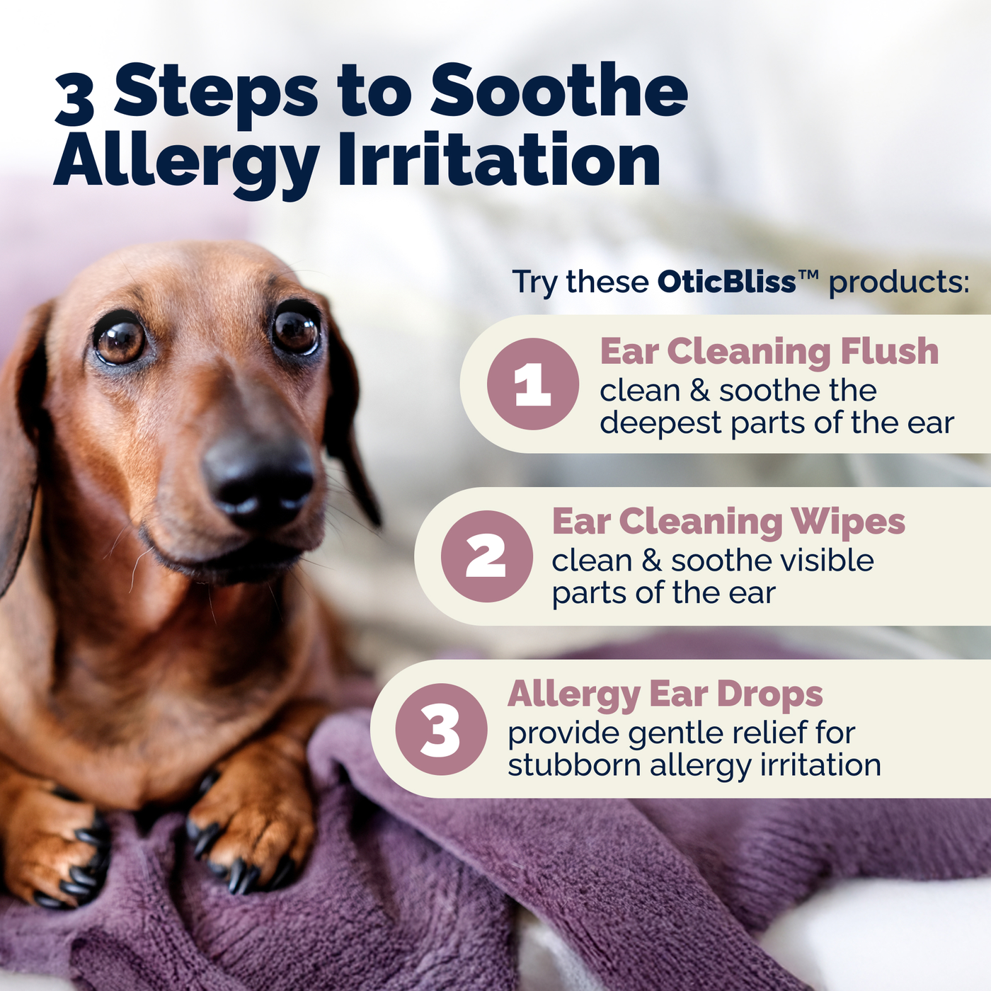 OticBliss™ Advanced Vet Strength Allergy Ear Drops for Dogs and Cats