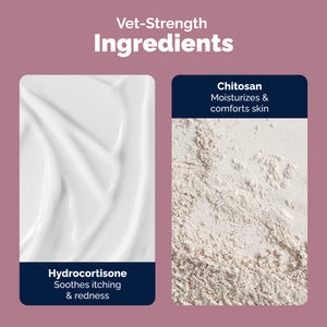 OticBliss™ Advanced Vet Strength Allergy Ear Drops for Dogs and Cats