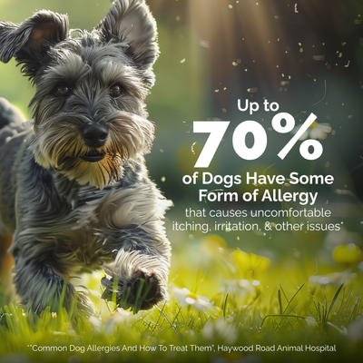 OticBliss™ Advanced Vet Strength Allergy Ear Drops for Dogs and Cats