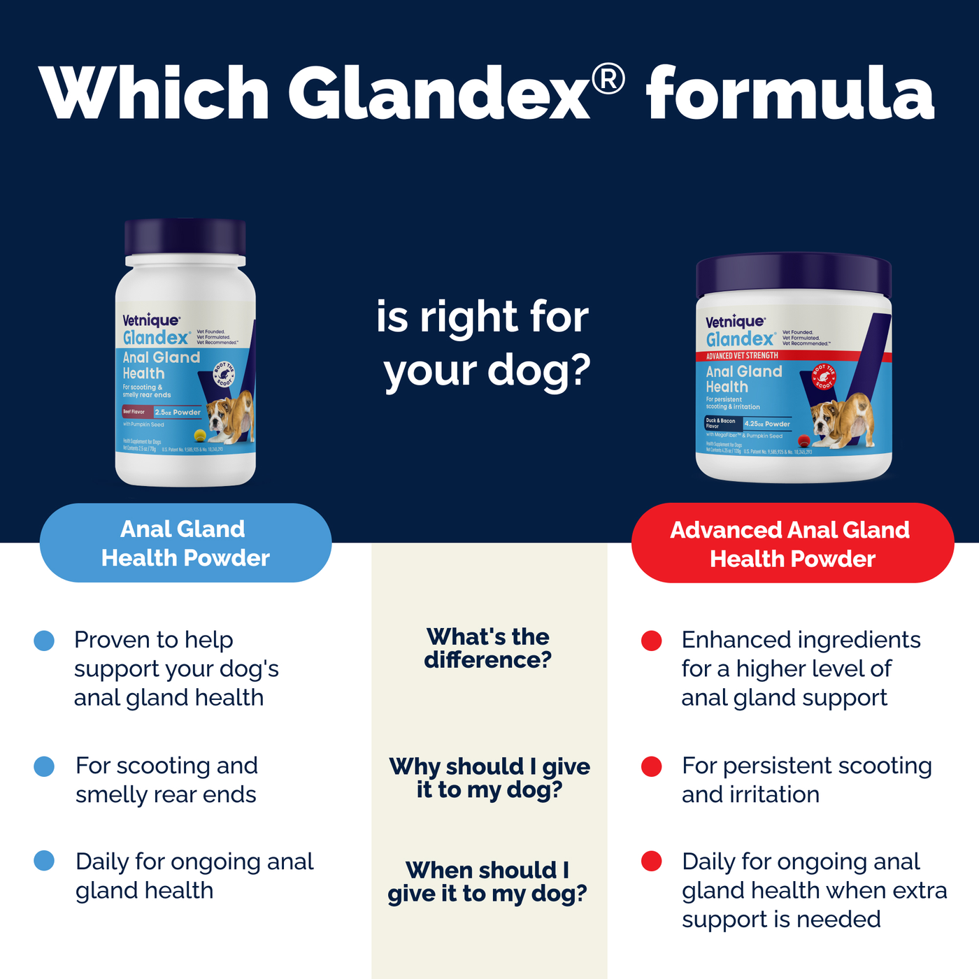 Glandex Advanced Vet Strength Anal Gland Health Powder