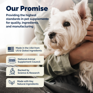 Glandex Advanced Vet Strength Anal Gland Health Powder