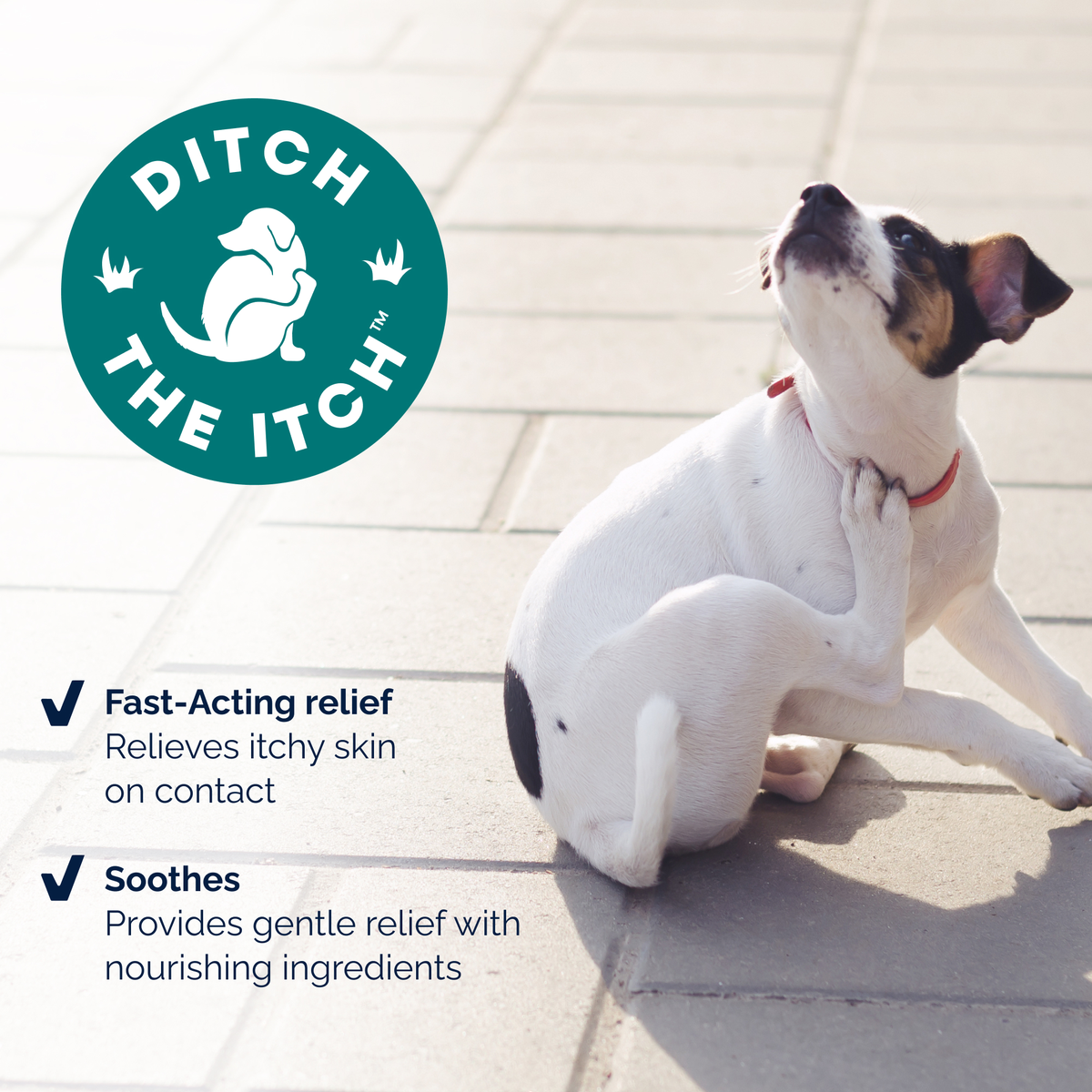 DermaBliss™ Advanced Vet Strength Anti-Itch & Allergy Relief Spray