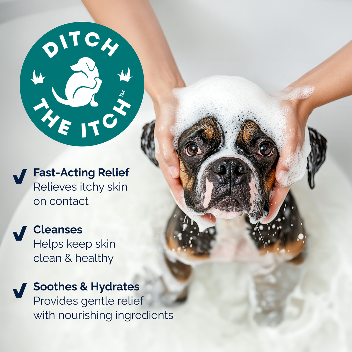 DermaBliss™ Anti-Itch & Allergy Relief Shampoo