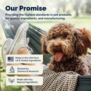 DermaBliss™ Advanced Vet Strength Anti-Itch & Allergy Relief Shampoo