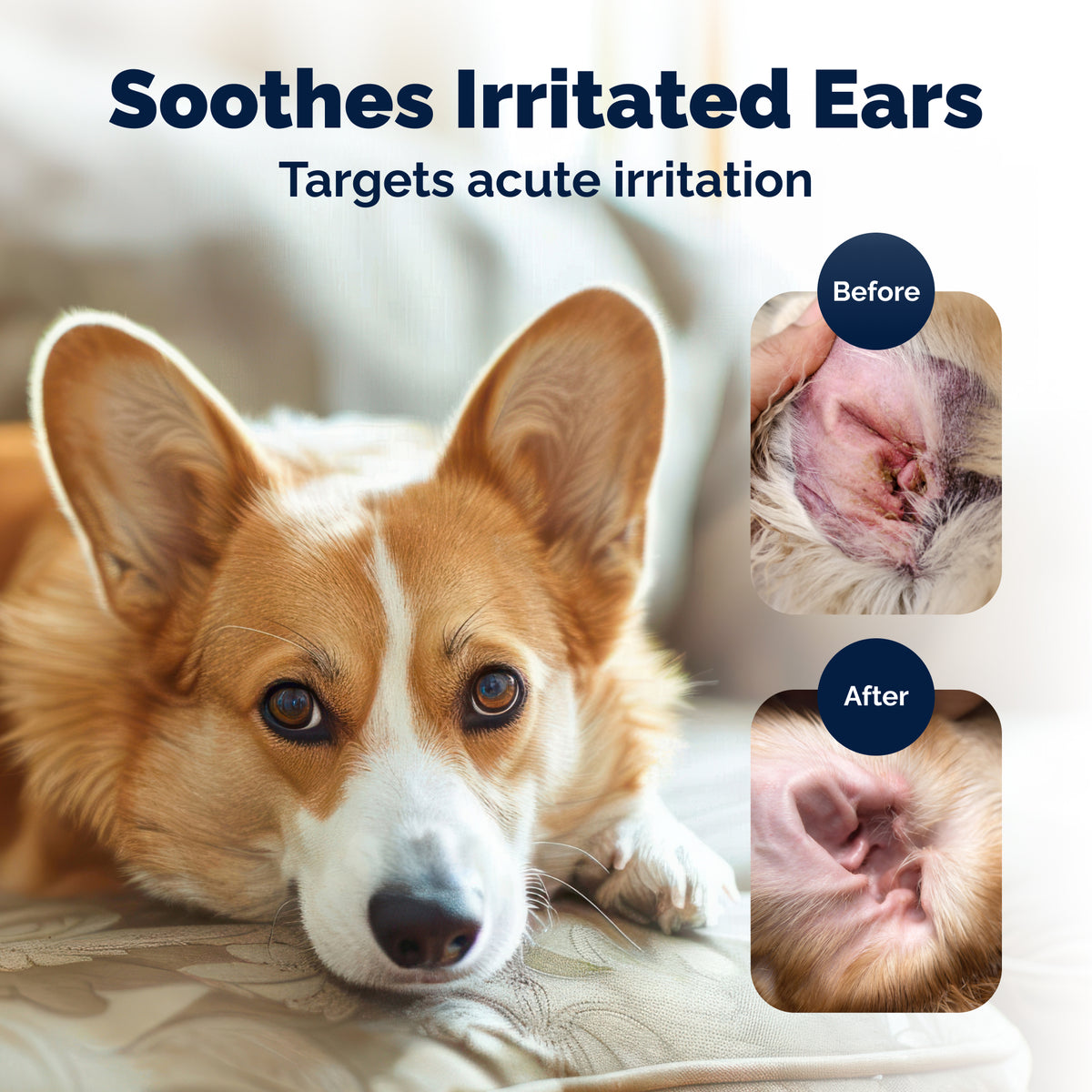 OticBliss™ Advanced Vet Strength Allergy Ear Drops for Dogs and Cats