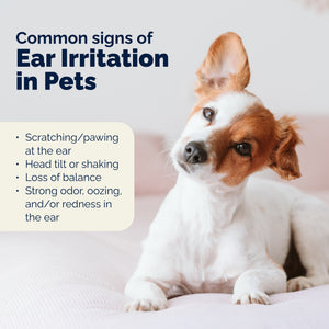 OticBliss™ Advanced Vet Strength Allergy Ear Drops for Dogs and Cats