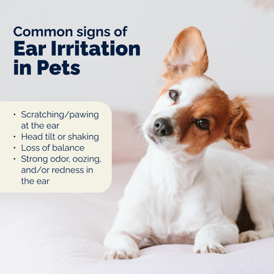 Oticbliss™ Medicated Ear Drops for Dogs and Cats
