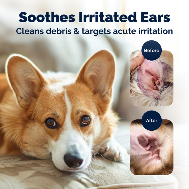 Oticbliss™ Advanced Vet Strength  Anti-Bacterial & Anti-Fungal Chlorhexidine Ear Flush