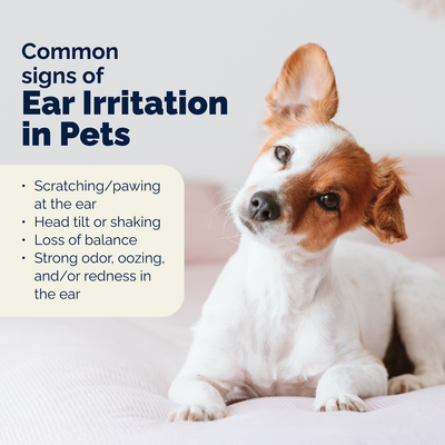 Oticbliss™ Advanced Vet Strength  Anti-Bacterial & Anti-Fungal Chlorhexidine Ear Flush