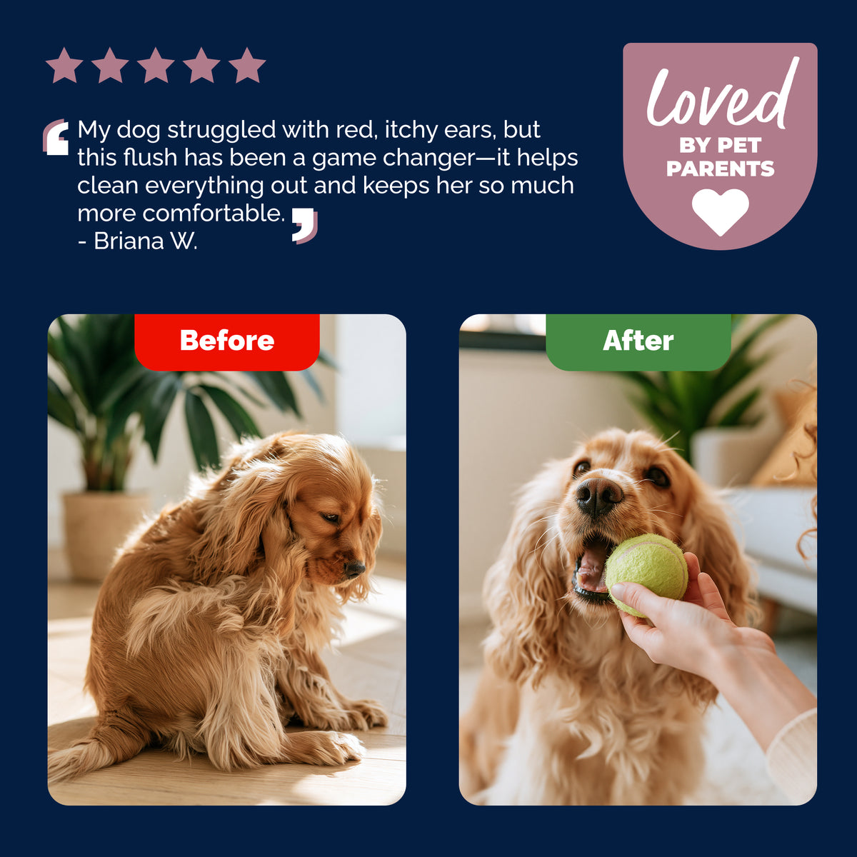 Oticbliss™ Advanced Vet Strength Medicated Ear Flush