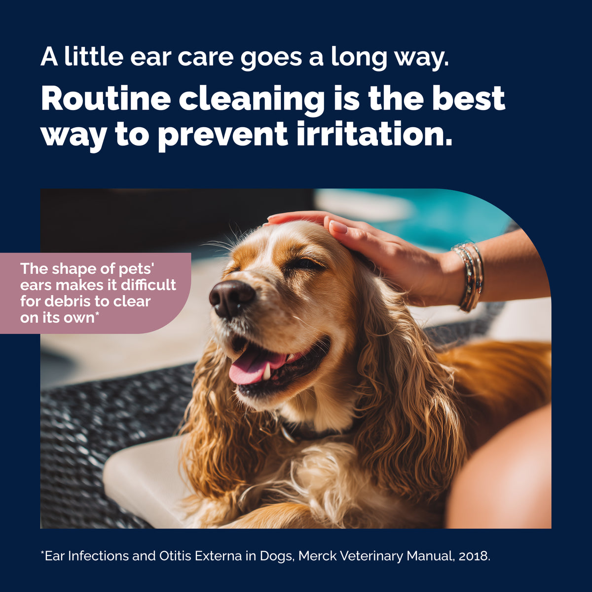 Oticbliss™ Advanced Vet Strength Medicated Ear Flush