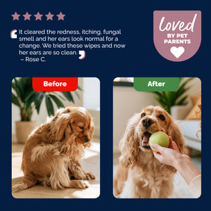 OticBliss™ Advanced Vet Strength Medicated Ear Wipes