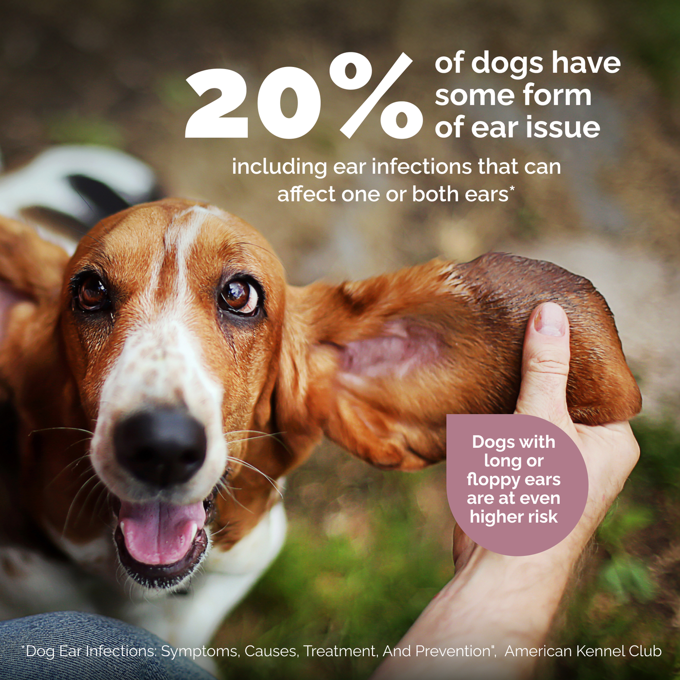 OticBliss™ Advanced Vet Strength Medicated Ear Wipes