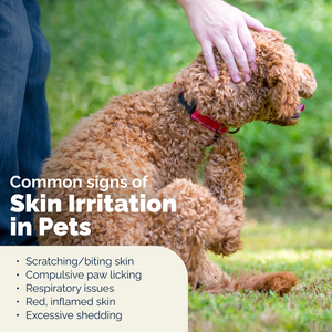 Dermabliss™ Advanced Vet Strength Medicated Shampoo