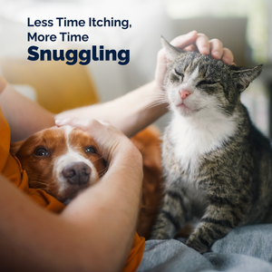 Dermabliss™ Advanced Vet Strength Medicated Shampoo